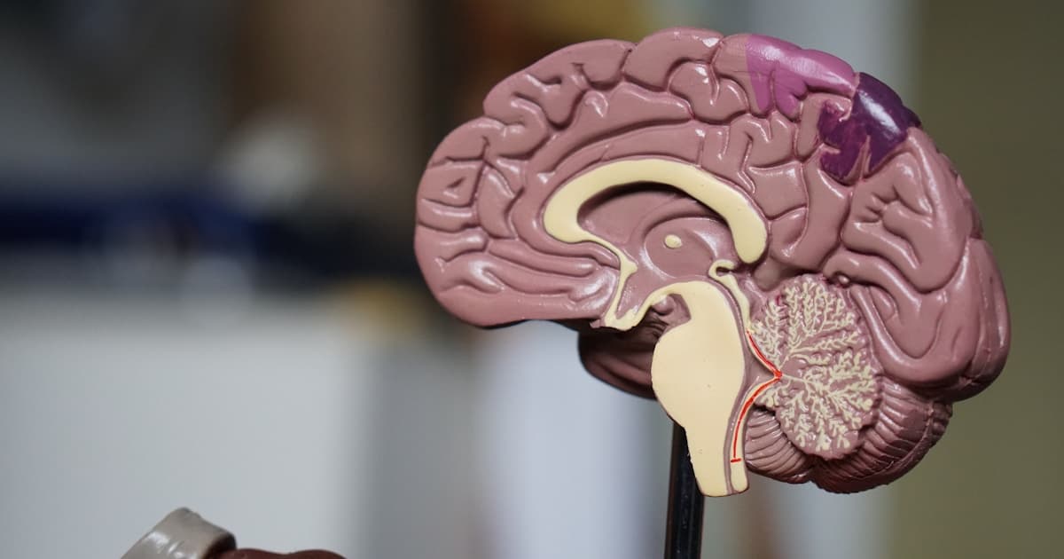 Agenda Médica Autônomo: Guia Completo para Organização Eficiente